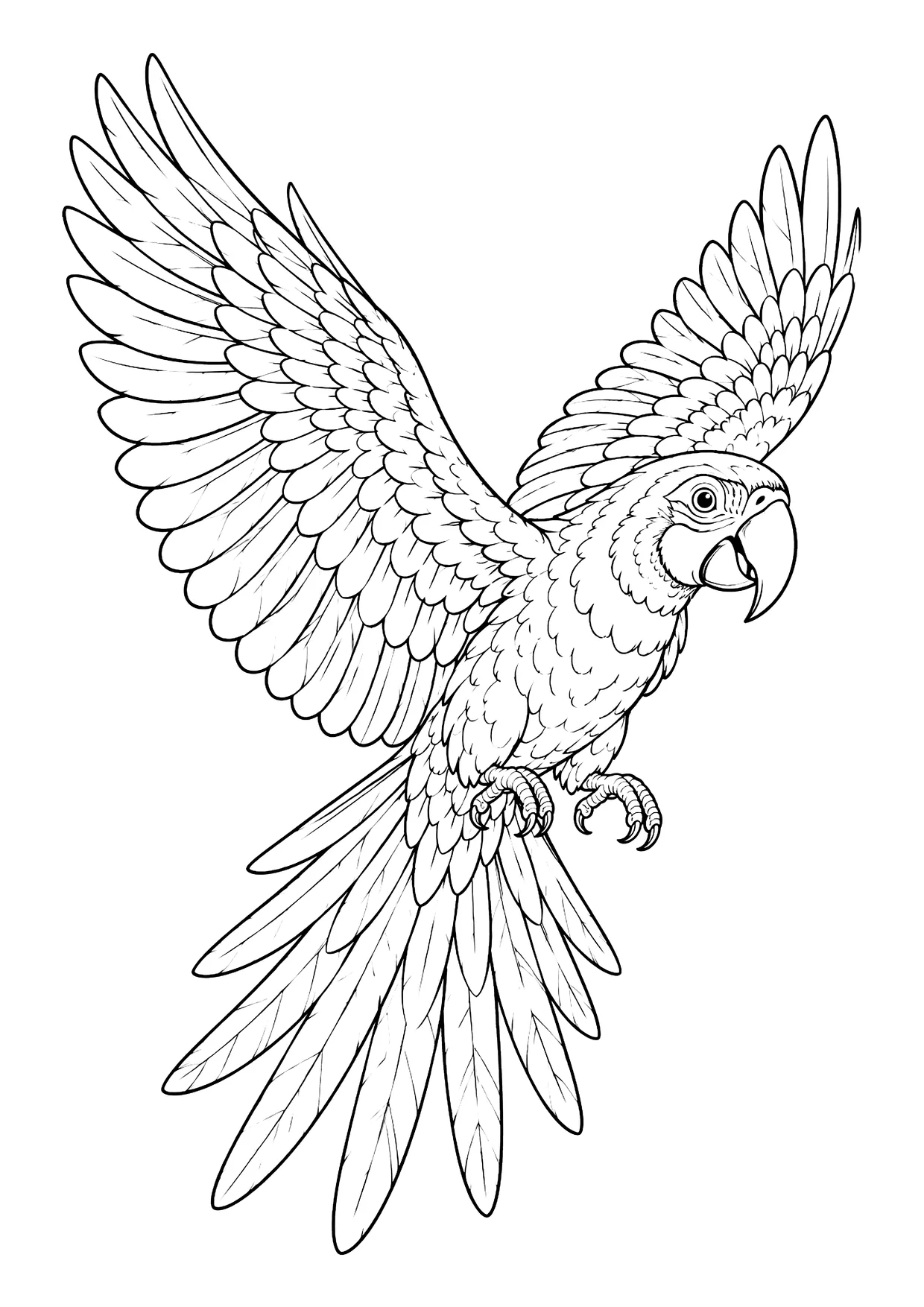 Ausmalbild: Ara-Papagei im Flug mit ausgebreiteten Flügeln, Hakenschnabel und langen Schwanzfedern