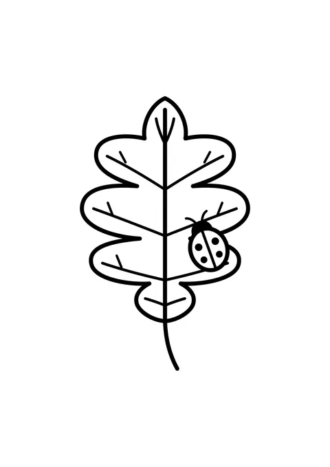 Ausmalbild: Eichenblatt mit Adern und Marienkäfer