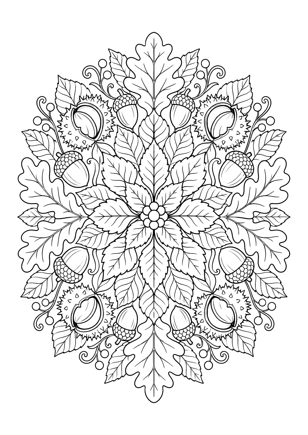 Ausmalbild: rundes Herbstmandala aus Blättern, Eicheln, Kastanien in Stachelhüllen, Beeren und Ranken, spiegelsymmetrisch