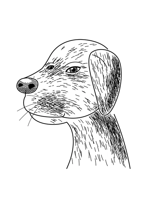 Ausmalbild: realistisches Labrador-Porträt mit Fellstruktur