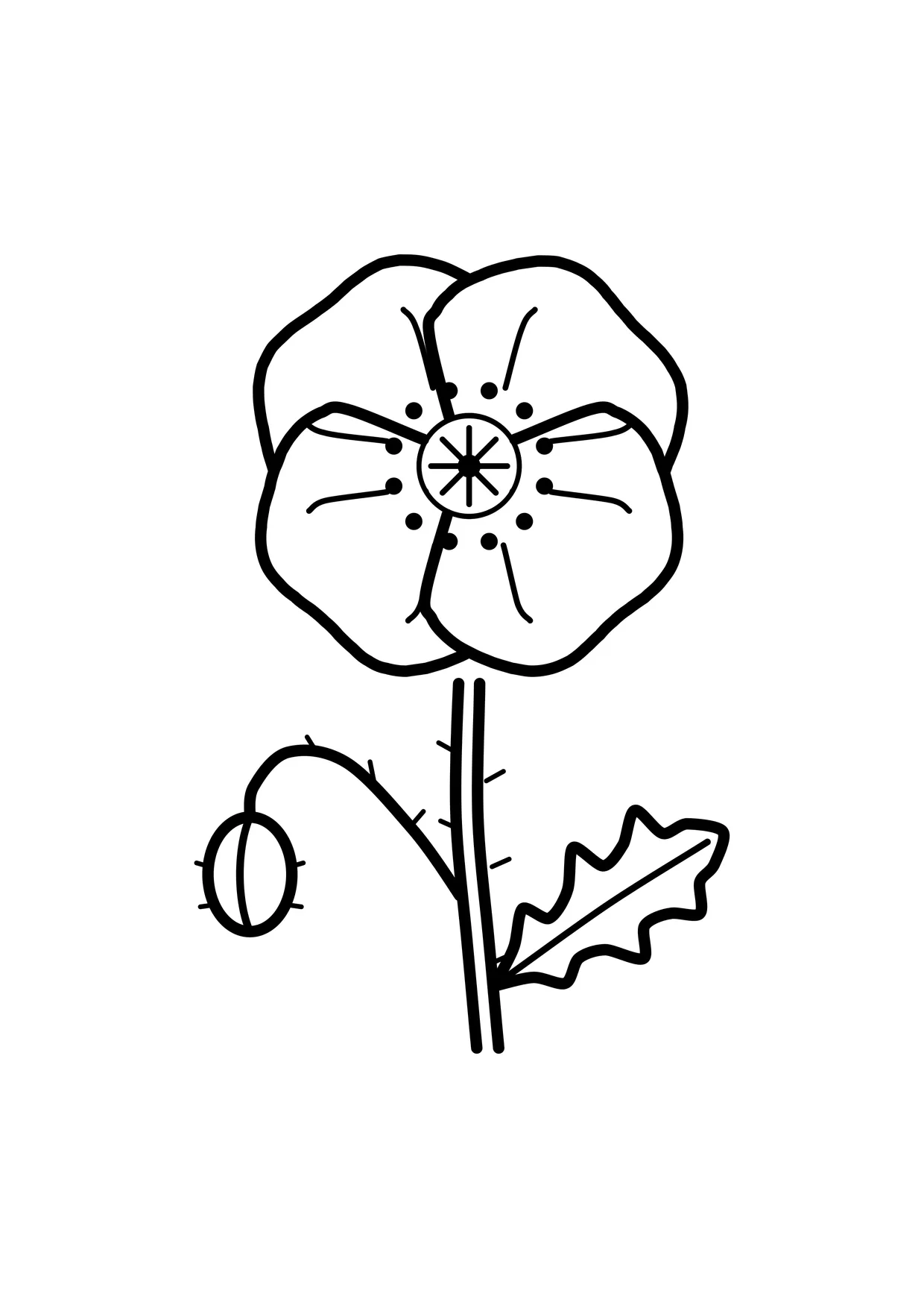 Ausmalbild: Mohnblume mit Knospe und Blatt