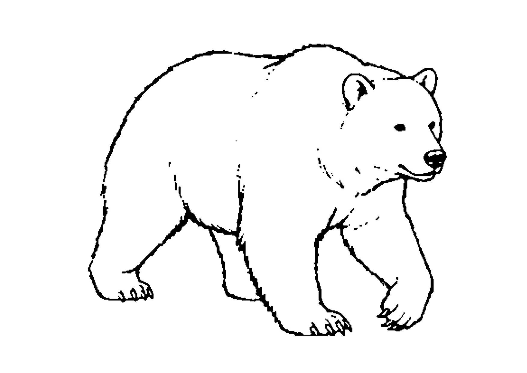 Ausmalbild: realistischer Braunbär beim Laufen