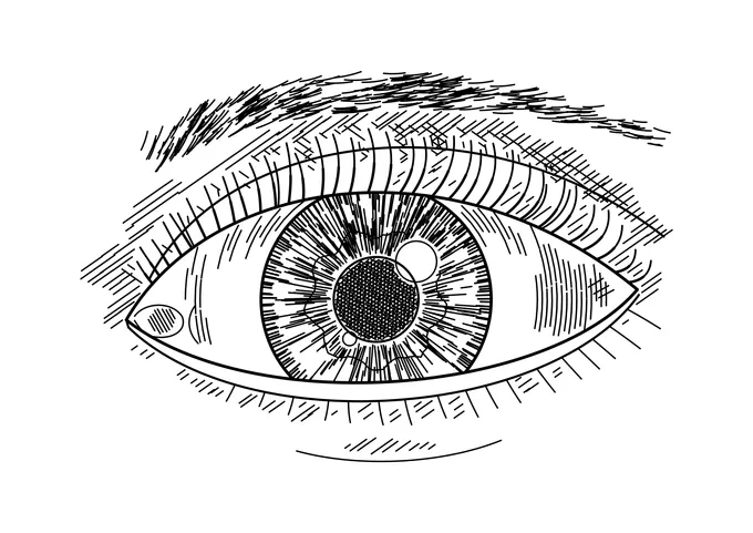 Ausmalbild: realistisches Auge mit Iris-Struktur, Wimpern und Augenbraue