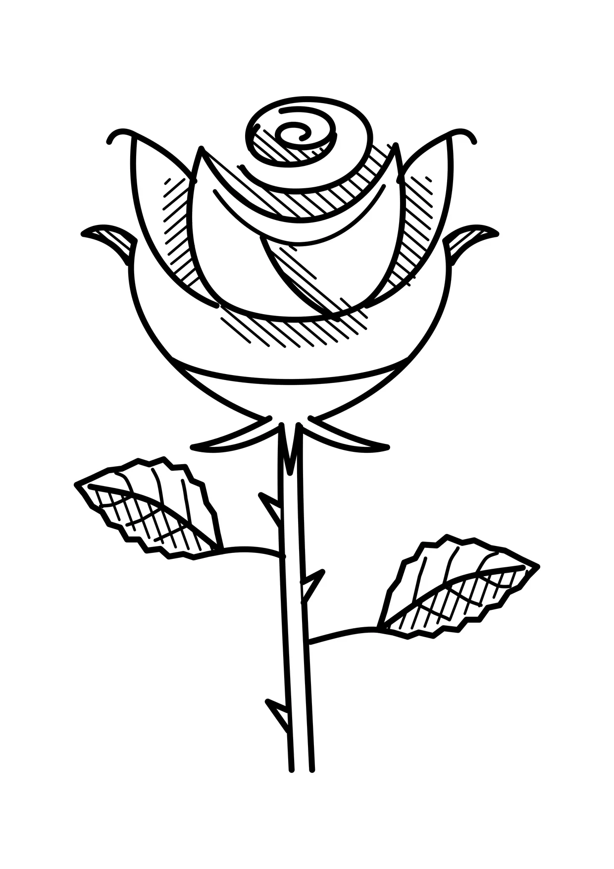 Ausmalbild: Rose mit gezackten Blättern und Dornen