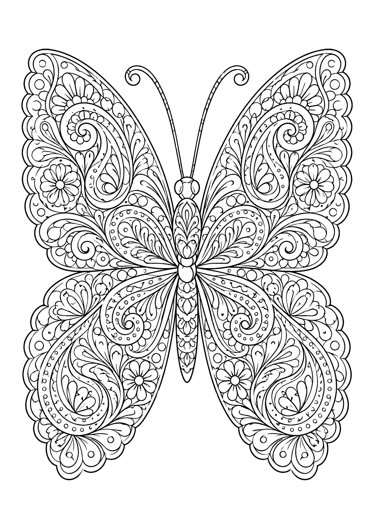Ausmalbild: Schmetterling von oben, Flügel dicht gefüllt mit Paisley-Tropfen, Spiralen, Blüten und Punkten