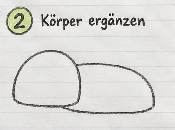 Der Kopf mit einem langen, flachen Körper dahinter.