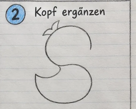 Die Ente mit rundem Kopf, kleinem Federschopf und geschlossenem Körper mit Schwanzspitze.