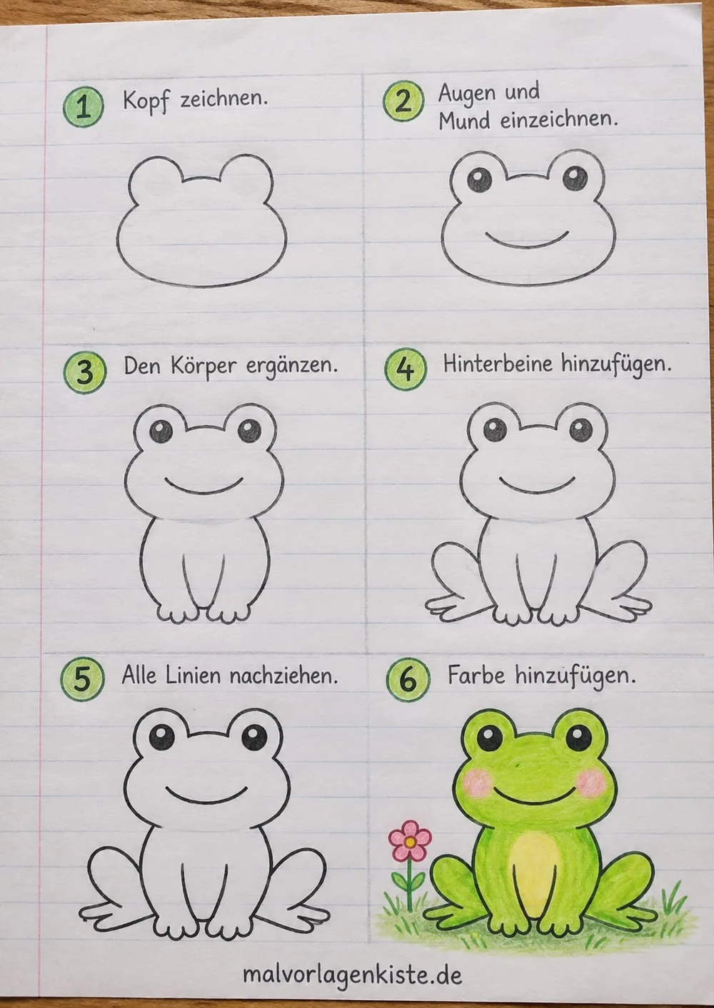 Anleitungsblatt: Frosch zeichnen in 6 Schritten, im letzten Feld grün ausgemalt.