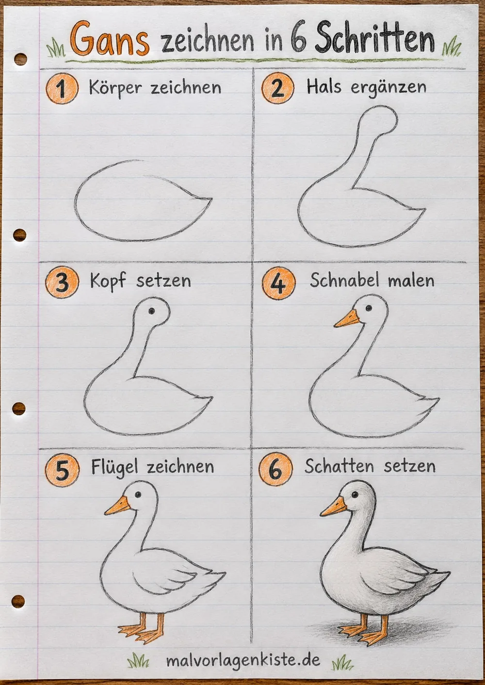 Anleitungsblatt: Gans zeichnen in 6 Schritten – vom Körper-Oval bis zur Gans mit Bleistiftschatten und orangem Schnabel im letzten Feld.