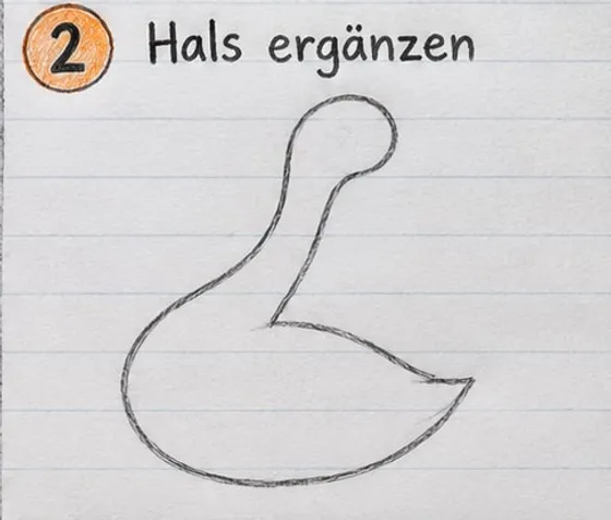 Körper der Gans mit einem langen, S-förmig geschwungenen Hals und rundem Kopfansatz.