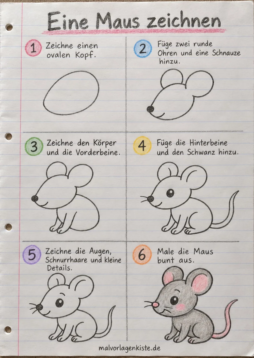 Anleitungsblatt: sitzende Maus zeichnen in 6 Schritten, vom ovalen Kopf bis zum langen Schwanz, im letzten Feld bunt ausgemalt.