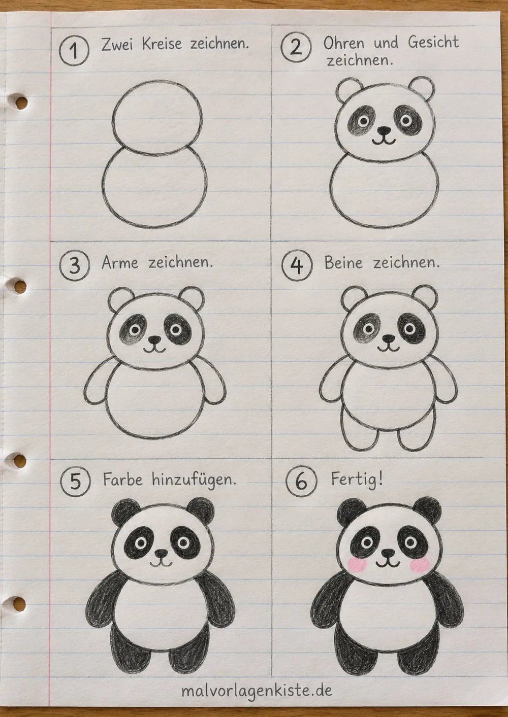 Anleitungsblatt: Panda zeichnen in 6 Schritten, von zwei Kreisen bis zum schwarz-weißen Panda, im letzten Feld mit rosa Wangen fertig ausgemalt.