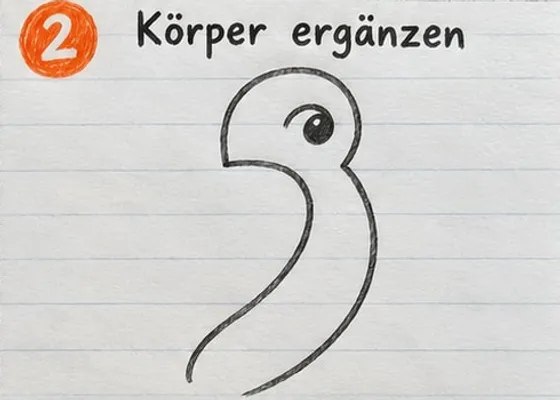 Kopf und Rücken, dazu eine zweite lange Linie als Bauch des Papageis.