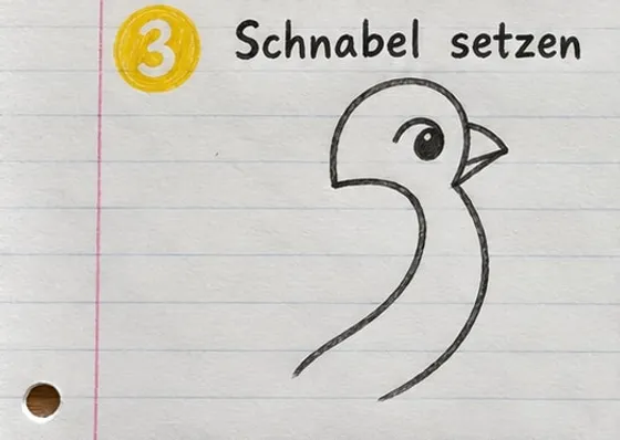 Der Papagei mit spitzem, gebogenem Hakenschnabel am Kopf.