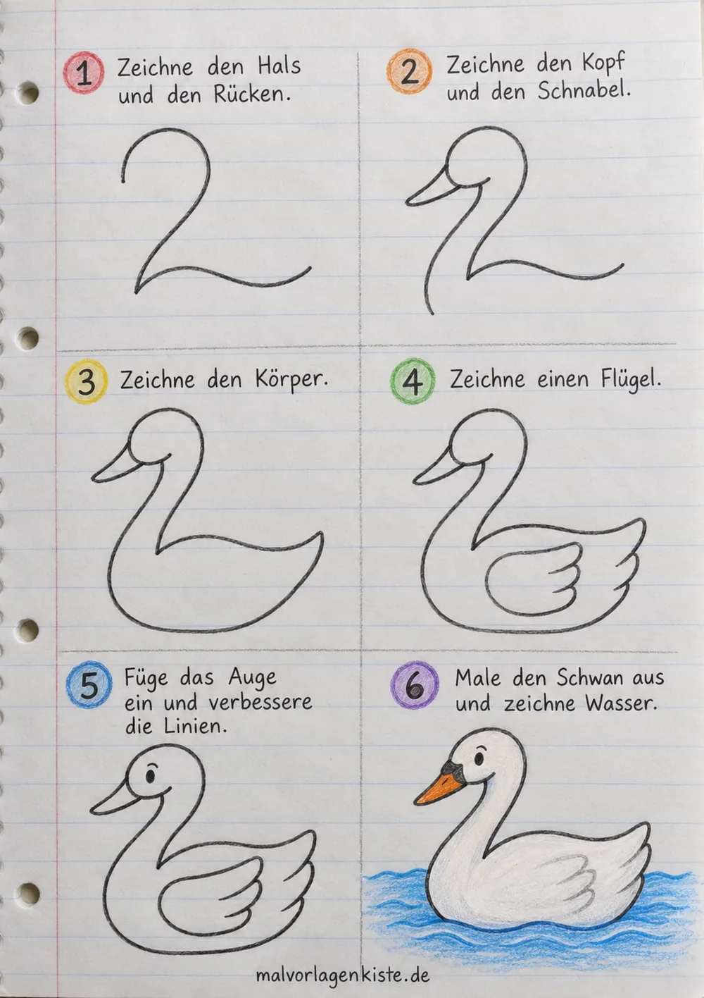 Anleitungsblatt: Schwan zeichnen in 6 Schritten – von der Linie wie eine 2 bis zum Schwan auf dem Wasser, im letzten Feld bunt ausgemalt.