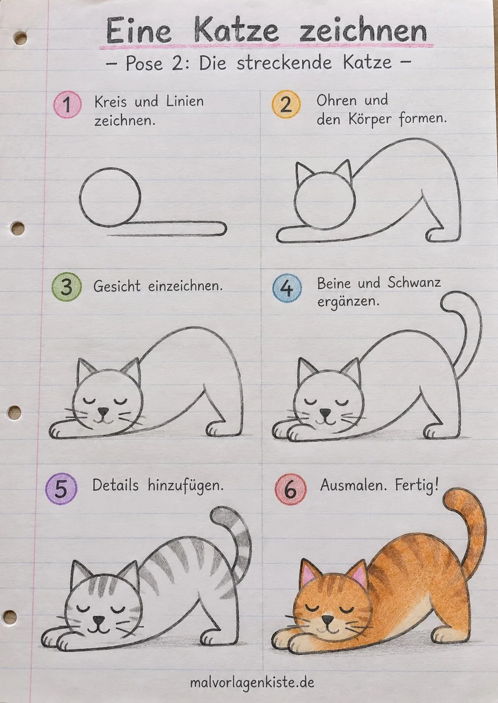 Anleitungsblatt: streckende Katze zeichnen in 6 Schritten, vom Kreis mit Linie bis zur getigerten Katze, im letzten Feld bunt ausgemalt.