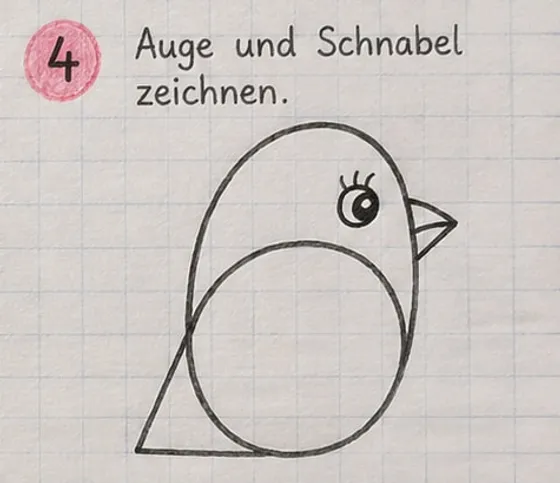 Der Vogel mit rundem Auge, drei Wimpern und spitzem Schnabel.